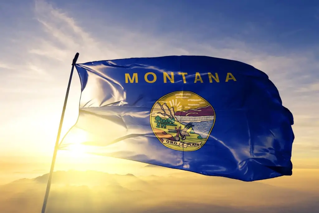 Montana Disability Benefits: Will You Qualify?