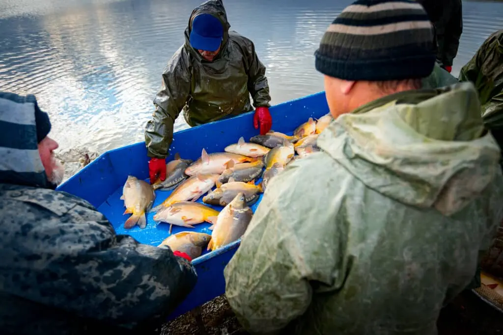 commercial fishing is one of the most dangerous professions