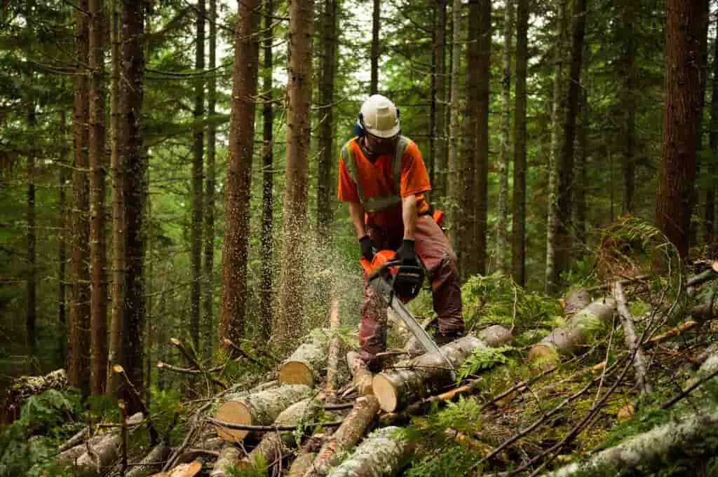 logging workers have the most dangerous jobs most years